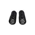 Front Coil Spring Set (4002) 3