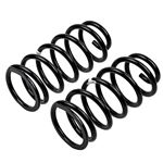 Coil Spring Set (2895E) 1