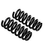 Coil Spring Set (3080) 1