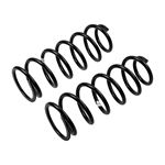 Coil Spring Set (2860) 1