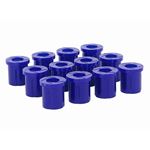 Rear Leaf Spring Bushing Kit (SPF2231AK) 3