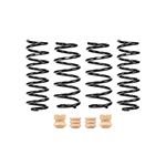 Set of 4 Springs (E10-51-025-02-22) 1