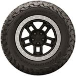 Mud-Terrain T A KM3 All-Season LT295 55R20 E 123 120Q 17526 1