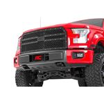 Mesh Grille Ford F-150 2WD/4WD (2015-2017) (70191) 1