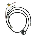 Wiring Harness And Switch Off Road Bikes Universal 1