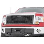 Mesh Grille Ford F-150 2WD/4WD (2009-2014) (70229) 1