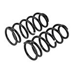 Coil Spring Set (2895) 1