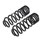 Coil Spring Set (2890) 1