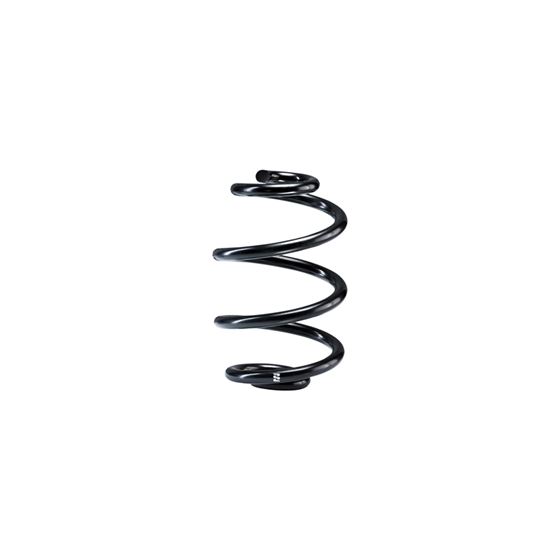 Single Rear Spring (R10298) 1