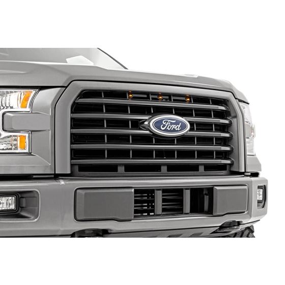 LED Marker Kit 15-17 Ford F-150 Rough Country 3