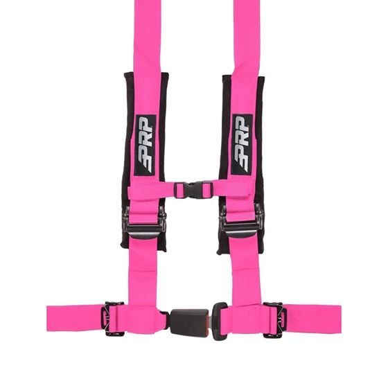 4.2 Harness 1