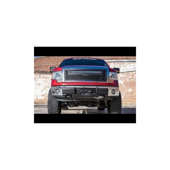 Ford Mesh Grille w30 Inch Dual Row Black Series LED 0914 F150 1