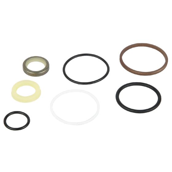 Ram Assist Single-Ended Ram Rebuild Kit 1.5 Inch (304201-KIT)