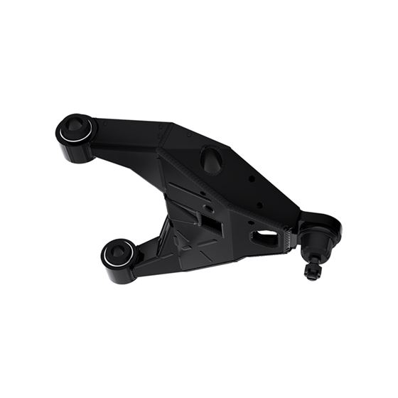 05-23 TACOMA LOWER CONTROL ARMS (54300) 1