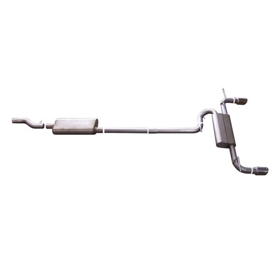 Cat Back Dual Split Exhaust System Stainless 1