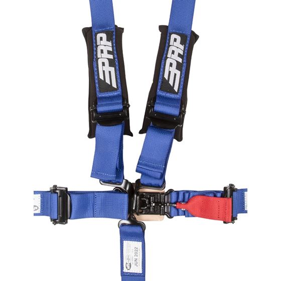 5.3 Race Harness 1