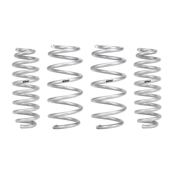 Pro-Lift-Kit Springs (Front / Rear Springs)