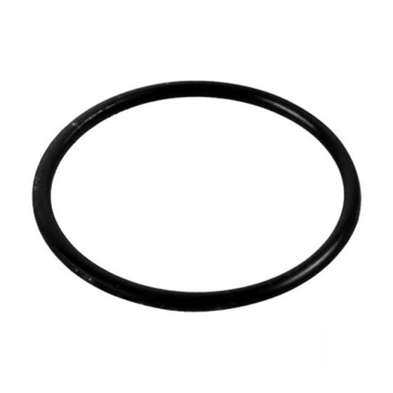 O-Ring Seal 1