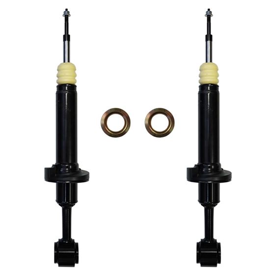 1-3IN. STRUTS 04-08 F150 2WD (F223ST) 1