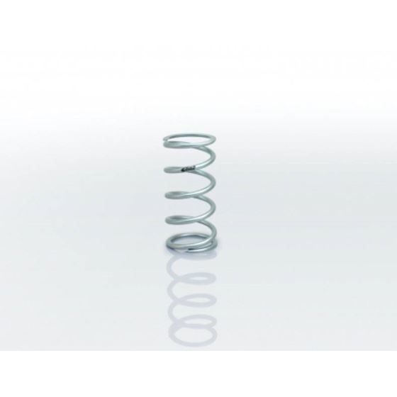 SILVER COILOVER SPRING - 2.50" I.D. 1