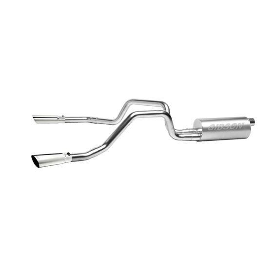 Cat-Back Dual Split Exhaust System Stainless 69523