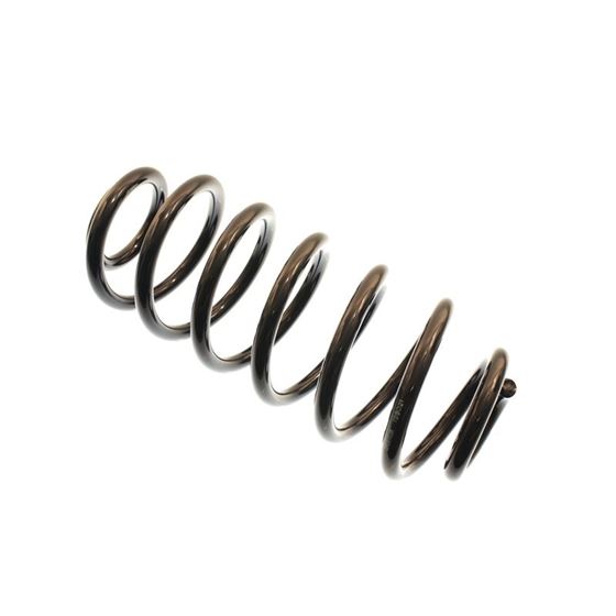 B3 OE Replacement Coil Spring 1