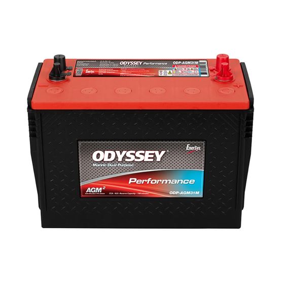 Performance Battery 12V 100Ah (ODP-AGM31M) 1