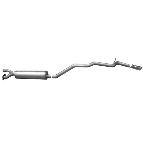 Cat-Back Single Exhaust System Stainless 619687